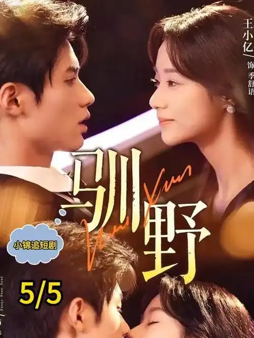 合租第七天